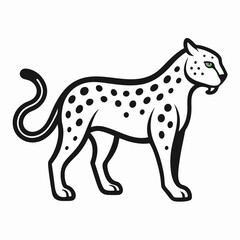 Fototapeta premium Jaguar on white background 