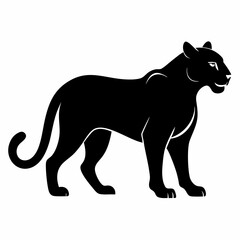 Jaguar on white background 