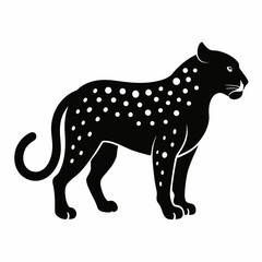 Jaguar on white background 