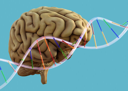Neural bioengineering, conceptual illustration