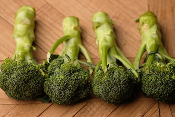 Broccoli is an edible green plant in the cabbage family. Brassica oleracea var. italica. Large head.