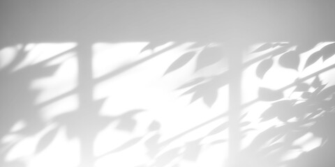 shadow overlay effects of realistic window and tree branch shadow with light blur on transparent background,Summer sunlight and shadow overlay effect