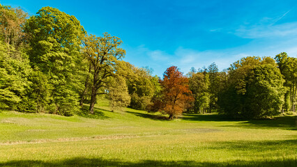 Spring landscape on a sunny day with a park with trees on a sunny spring day at Schoenau, Rottal Inn, Bavaria, Germany