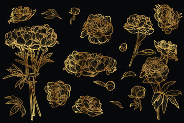 Vector line art of peonies with a golden touch. Hand drawn high quality and detailed peonies. Elegant spring flowers for print and online. Luxurious flowers for card, invitations, wall art, wallpapers