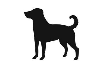 Dog silhouette. Vector silhouette of dog on white background. cutout dog. hand drawn design. vector illustration
