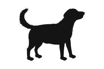 Dog silhouette. Vector silhouette of dog on white background. cutout dog. 