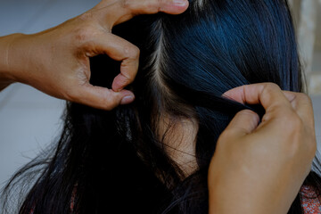 Fototapeta premium closeup of hands looking for lice in hair
