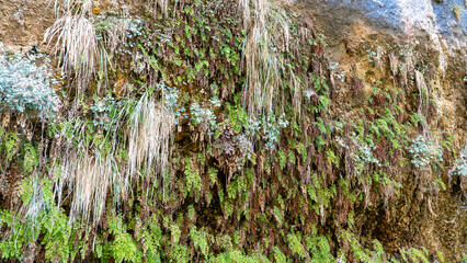 Arches National Park, Utah