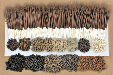 Various Traditional Chinese Herbal Medicine Ingredients Displayed as Background Concept