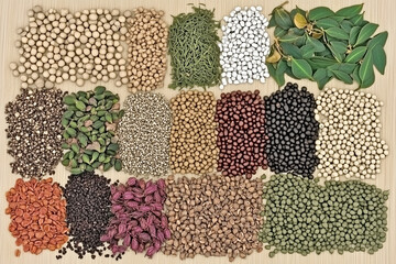 Various Traditional Chinese Herbal Medicine Ingredients Displayed as Background Concept