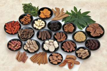 Various Traditional Chinese Herbal Medicine Ingredients Displayed as Background Concept