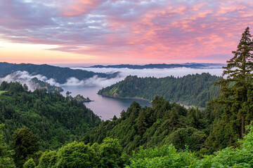 Fog envelops the summer coastline at dawn revealing tranquility