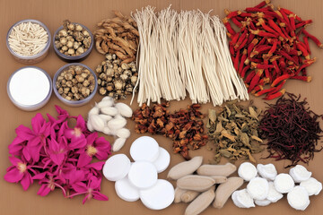 Various Traditional Chinese Herbal Medicine Ingredients Displayed as Background Concept