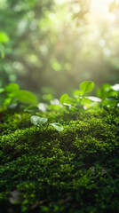 Moss Textures in Nature – Tranquil Ground Covers & Green Growth