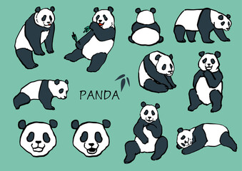 手描き　パンダ