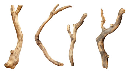 Fototapeta premium Unique collection of driftwood pieces arranged artistically, showcasing natural shapes and textures found by the riverside on a sunny afternoon.