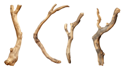 Unique collection of driftwood pieces arranged artistically, showcasing natural shapes and textures found by the riverside on a sunny afternoon.