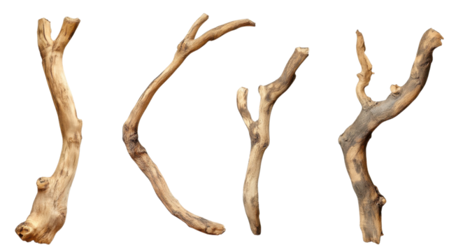 Unique collection of driftwood pieces arranged artistically, showcasing natural shapes and textures found by the riverside on a sunny afternoon.