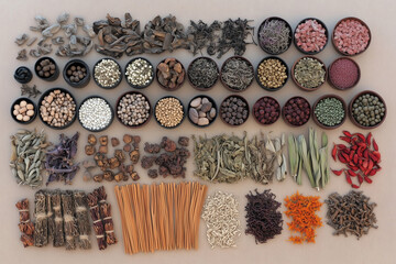 Various Traditional Chinese Herbal Medicine Ingredients Displayed as Background Concept