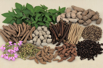 Various Traditional Chinese Herbal Medicine Ingredients Displayed as Background Concept