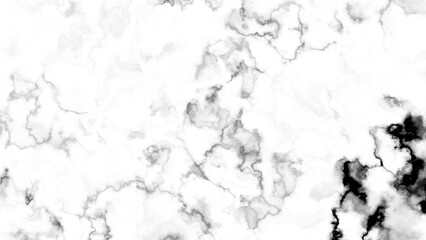 Abstract black and white marble ink pattern with flowing lines and cloudy veins, creating an elegant and natural textured background