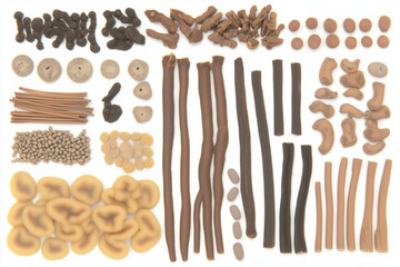 Various Traditional Chinese Herbal Medicine Ingredients Displayed as Background Concept