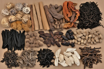 Various Traditional Chinese Herbal Medicine Ingredients Displayed as Background Concept