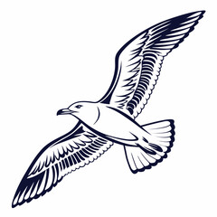 Seagull Herring Gull Continuous Line Drawing with Editable Stroke and Color Elements