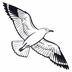 Seagull Herring Gull Continuous Line Drawing with Editable Stroke and Color Elements