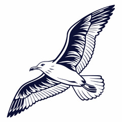 Seagull Herring Gull Continuous Line Drawing with Editable Stroke and Color Elements