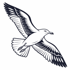 Seagull Herring Gull Continuous Line Drawing with Editable Stroke and Color Elements