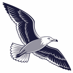 Seagull Herring Gull Continuous Line Drawing with Editable Stroke and Color Elements