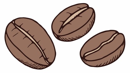 coffee beans isolated on white background