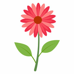 African Daisy: Floral Icon

