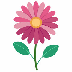 African Daisy: Floral Icon

