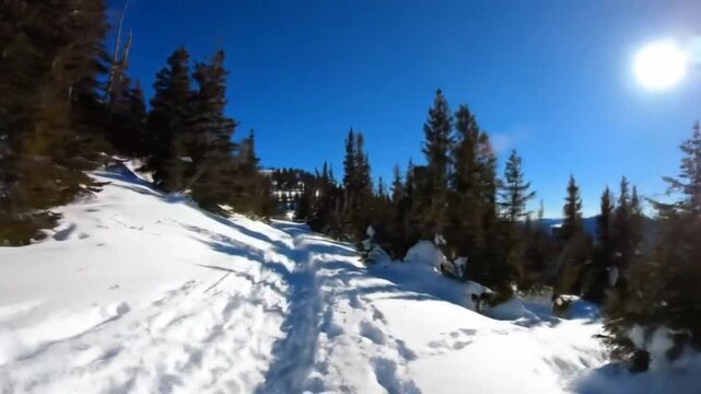 Title:
Snow-covered hiking trail winding through pine forest on sunny winter day, seamless looping 4k time-lapse animation video background