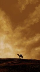 Camel silhouette in desert sunset
