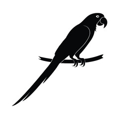 Fototapeta premium Parrot on branch silhouette graphic.