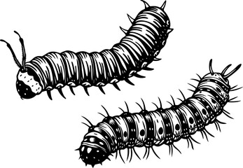 A caterpillar inching forward, isolated on a white background, caterpillar vector icon. caterpillar sign on white background.
