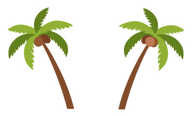 Tropical palm trees