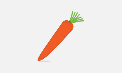Carrot vector illustration