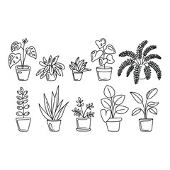 Collection of potted houseplants isolated on white background