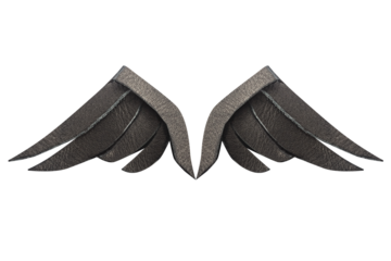 Isolated photo of black leather carved wings on white background.