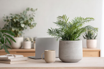 scandinavianstyle home office featuring laptop and lush plants