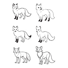 Fototapeta premium fox_group_vector_image