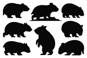 Set of wombat silhouettes in various poses. isolated vector on white background.