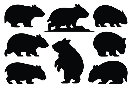 Set of wombat silhouettes in various poses. isolated vector on white background.