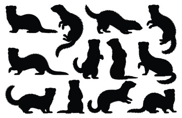 Set of ferret silhouettes in various poses. isolated vector on white background.
