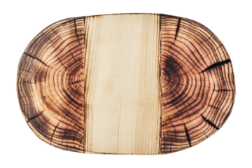 Isolated photo of decorative wooden stump on white background.