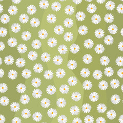 Seamless pattern with daisy flowers on green background.